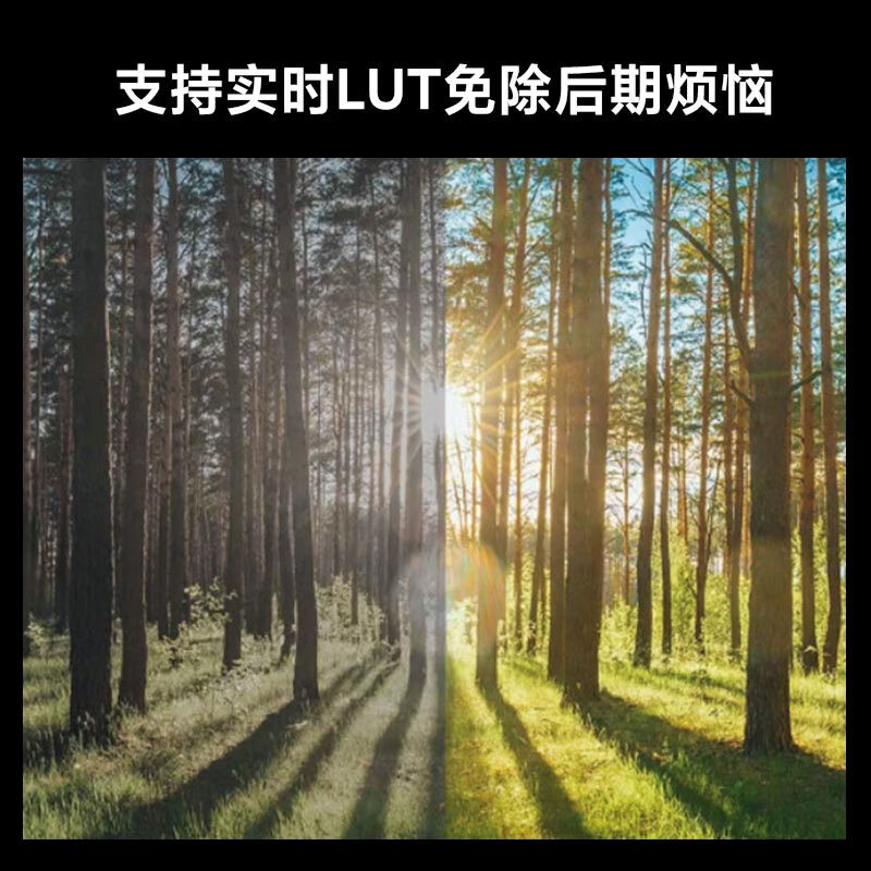 松下Panasonic DC-G9M2数码无反相机满减优惠到手10798元