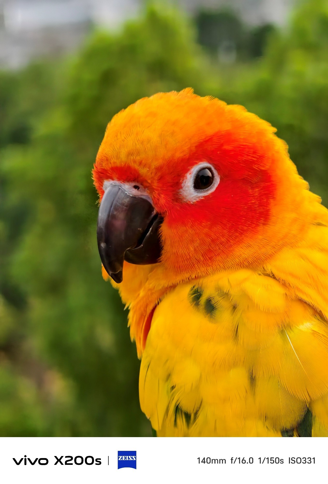 vivo X200sµÄÓ°ÏñÄÜÁ¦Ç¿²»Ç¿£¿±ðÍüÁËÕâЩAI¹¦ÄÜÒ²ºÜºÃÍæ