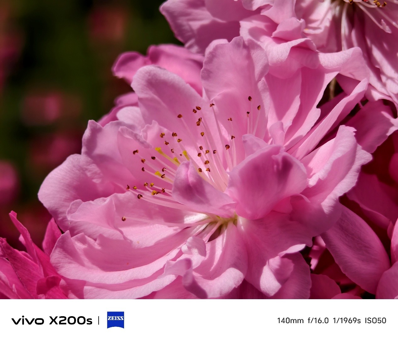 vivo X200sµÄÓ°ÏñÄÜÁ¦Ç¿²»Ç¿£¿±ðÍüÁËÕâЩAI¹¦ÄÜÒ²ºÜºÃÍæ