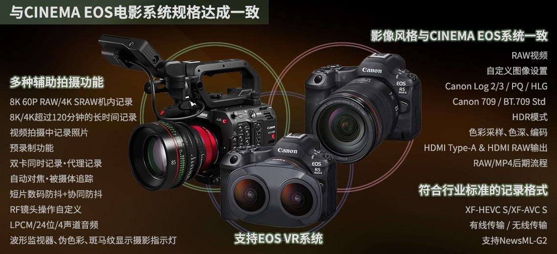 Acceleratorٴ EOS R5 Mark IIȫܻжǿ