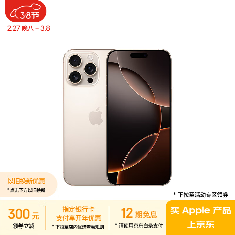 苹果 iPhone 16 Pro Max（256GB）