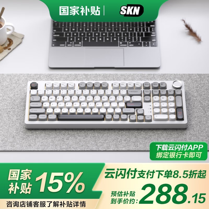 SKN4.0еּ̾294Ԫ