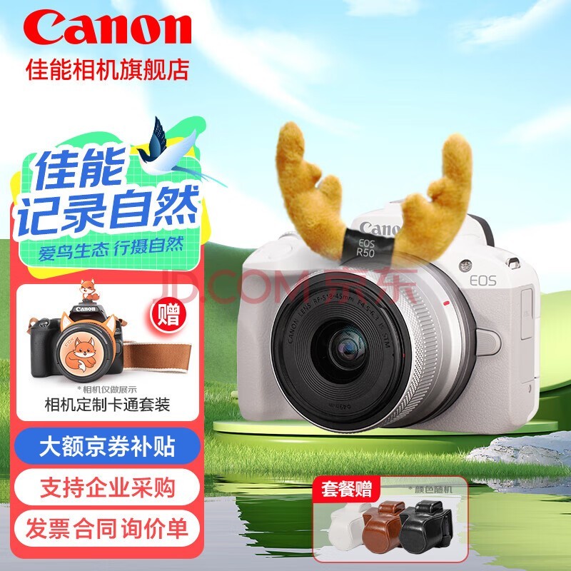 佳能（Canon）佳能r50 微单相机 轻量小型 R50 APS-C画幅 高速连拍 EOS R50 18-45 STM白色套机 套餐一【基础礼包限量升级64G佳能相机专用卡】