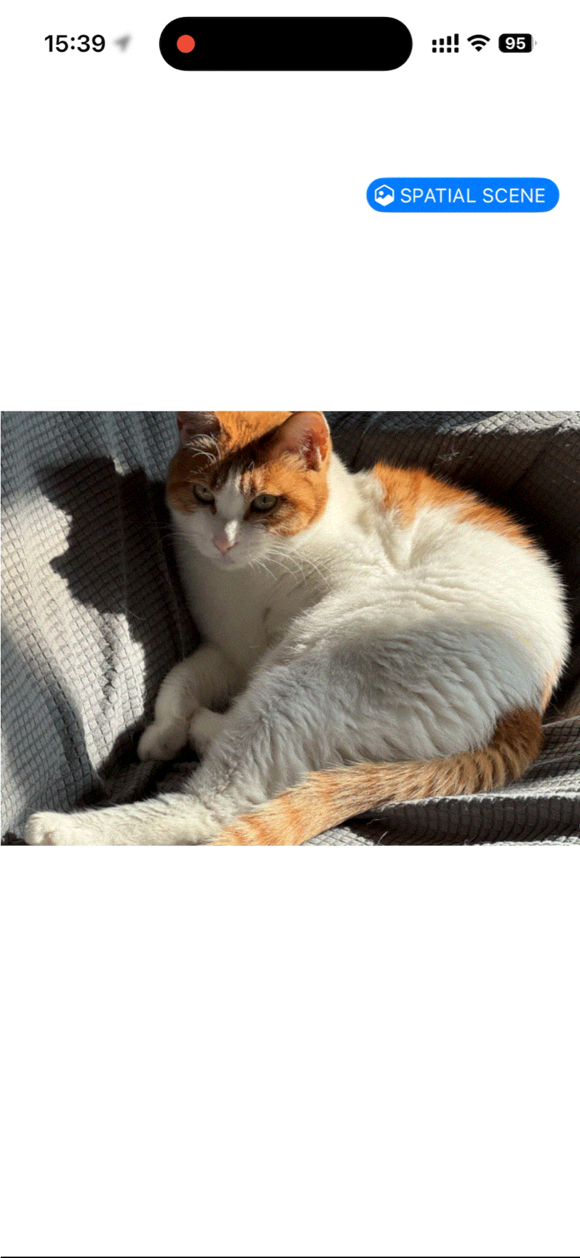 iOS 26�������� ��UI��ûAI