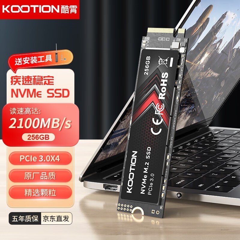 KOOTION X15L 256GB