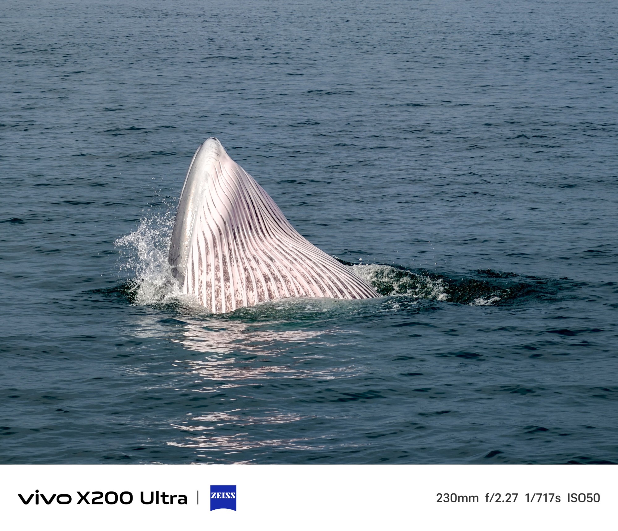 À¶Í¼Ë«Ð¾+²Ì˾¹âѧ£¡vivo X200 UltraµÄÓ°ÏñºÚ¿Æ¼¼È«½âÎö