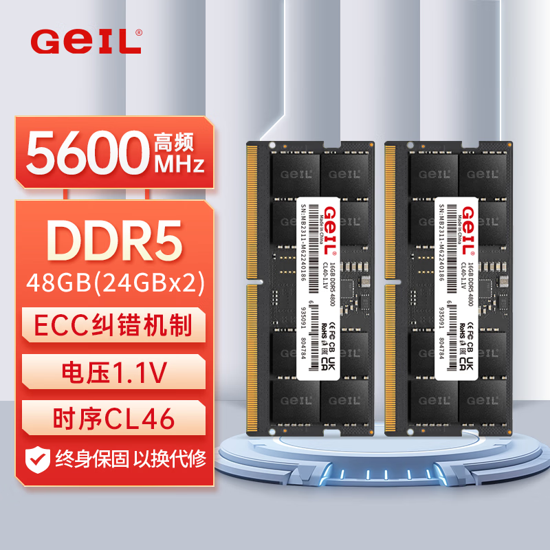  ǧ ʼǱڴ DDR5 5600 48GB224GB