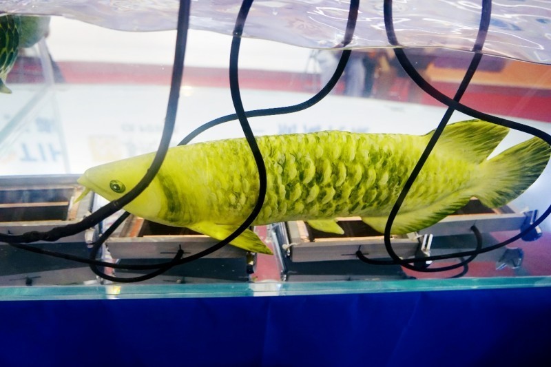 ƼѿˮԴʹ
