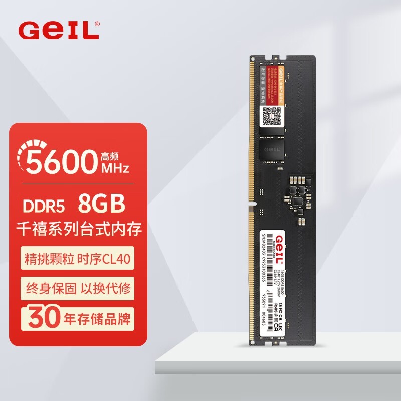  ǧ DDR5 5600 8GB