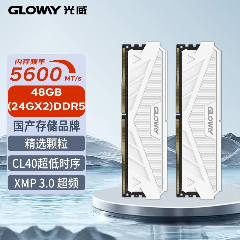 ޡ48GB DDR5 5600̨ʽڴ3120599Ԫ