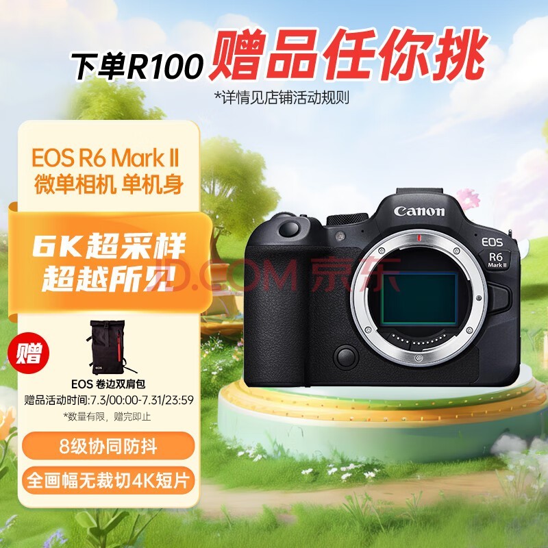 佳能（Canon）EOS R6 Mark II 新标准全画幅微单数码相机R6二代 单机身 （约40张每秒连拍/6K超采样4K短片）