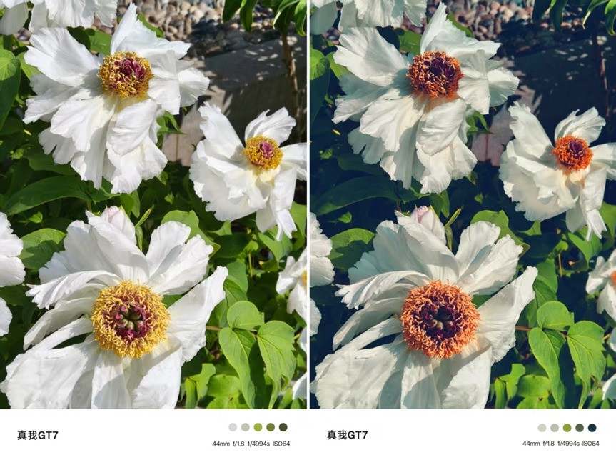 性能续航超能打？真我GT7全面评测