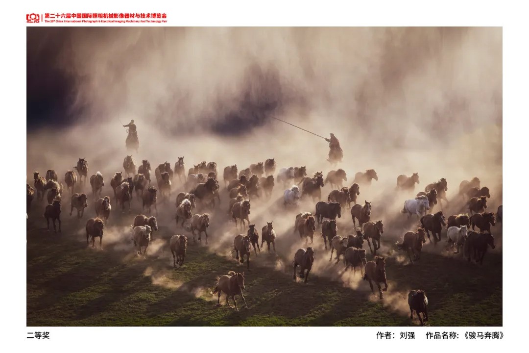 CHINA P&Eٰ ҵרҵҵӽǡӰ佱