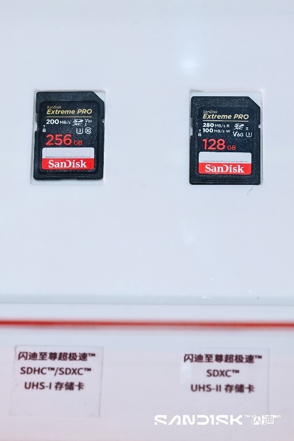 ȫӰļ桪26ChinaP&EĴ洢۲