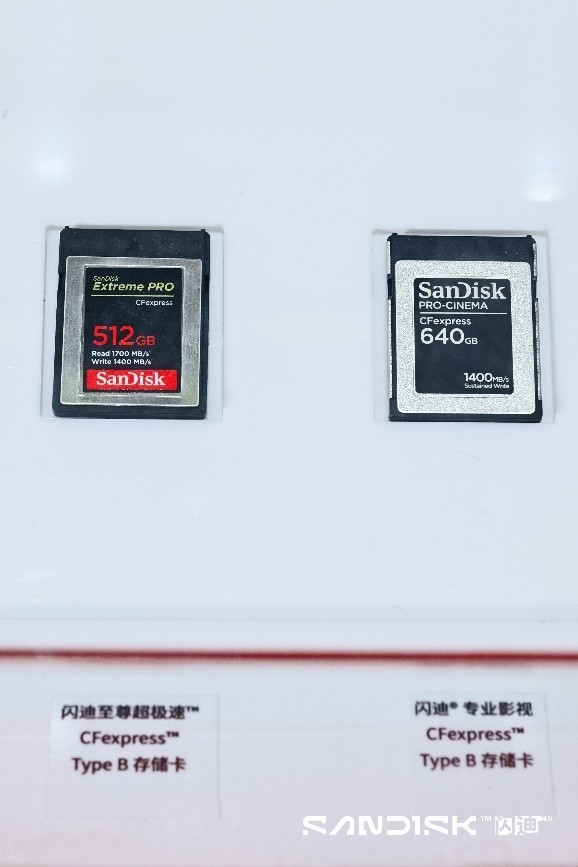 ȫӰļ桪26ChinaP&EĴ洢۲