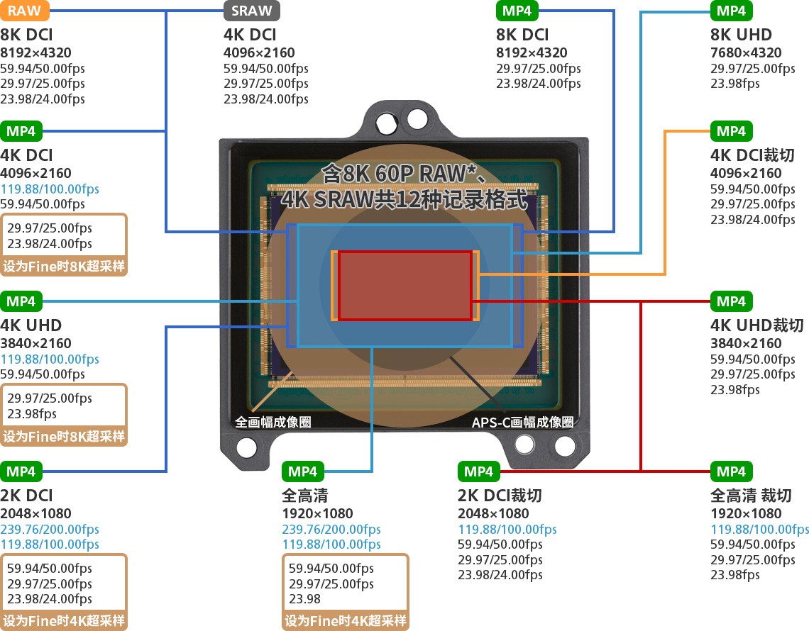 ȫ ΢EOS R5 Mark II