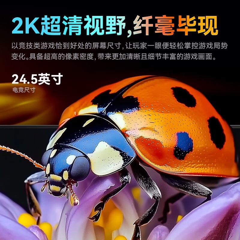 ̩̹P2512Sʾ 2K 240Hz812Ԫ