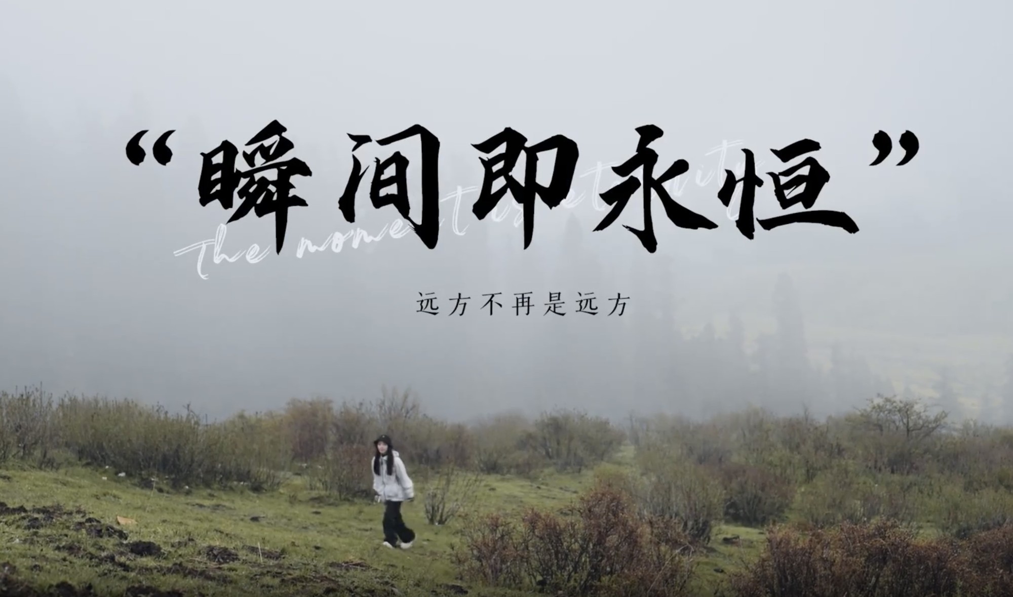 ˲伴 Vlog׽еÿһ֡áӰ 󽱹