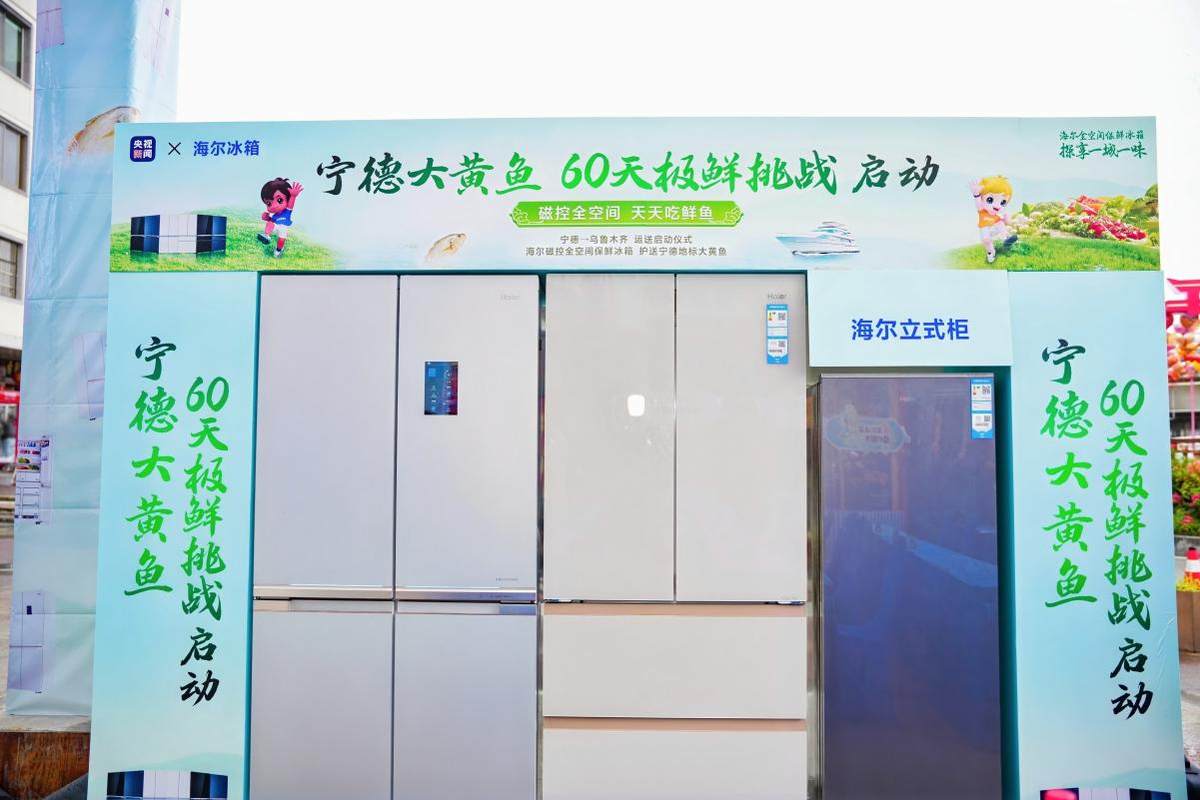 海尔冰箱开启冻鱼60天极鲜挑战！宁德大黄鱼“游”到新疆