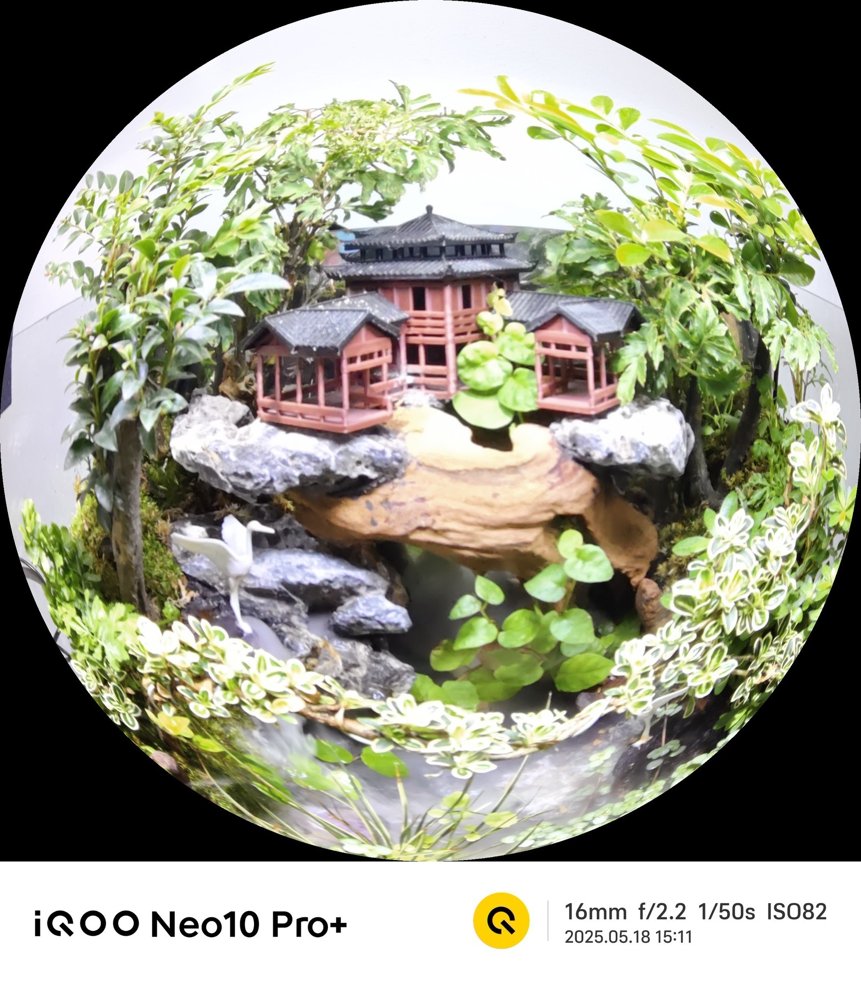 iQOO Neo10 Pro+全面评测 双芯战神的超神之作