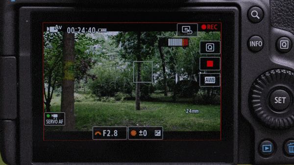 󲽿ԽԽ֮ EOS R5 Mark II