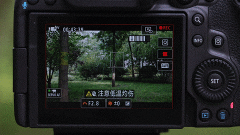 󲽿ԽԽ֮ EOS R5 Mark II