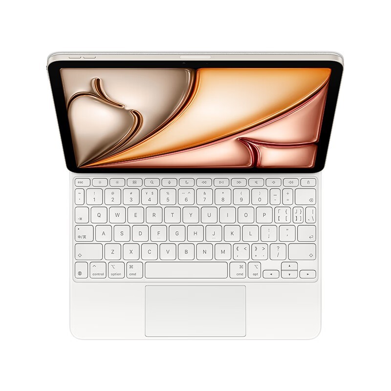 ƻiPad AirؼʱŻ