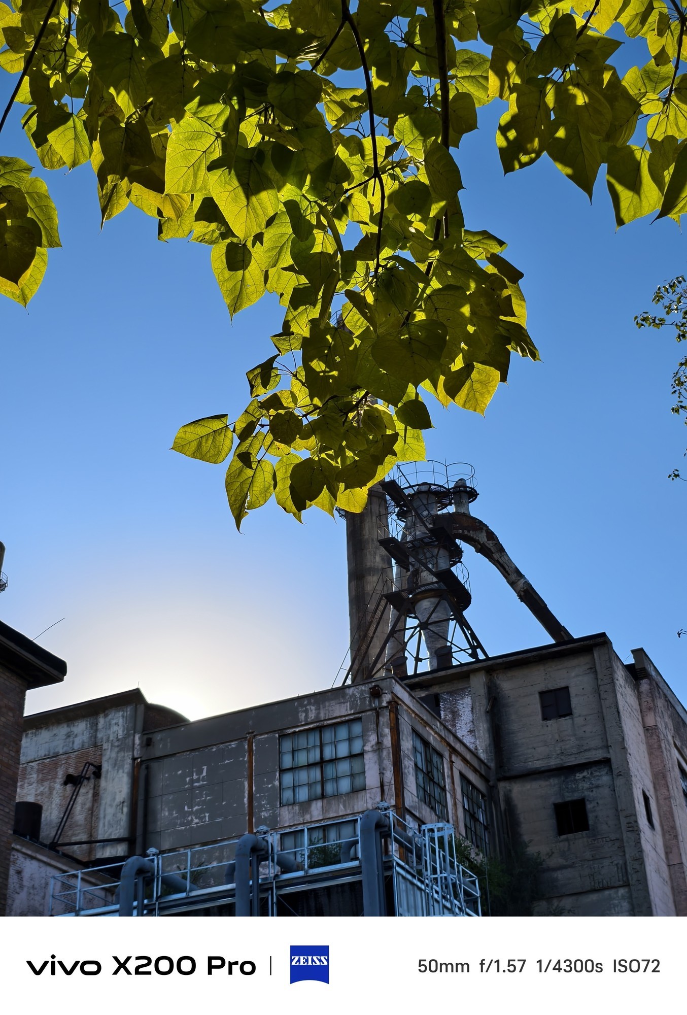 vivo X200 Pro�������� Ӱ����������ץ