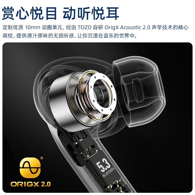 TOZO T20169Ԫ