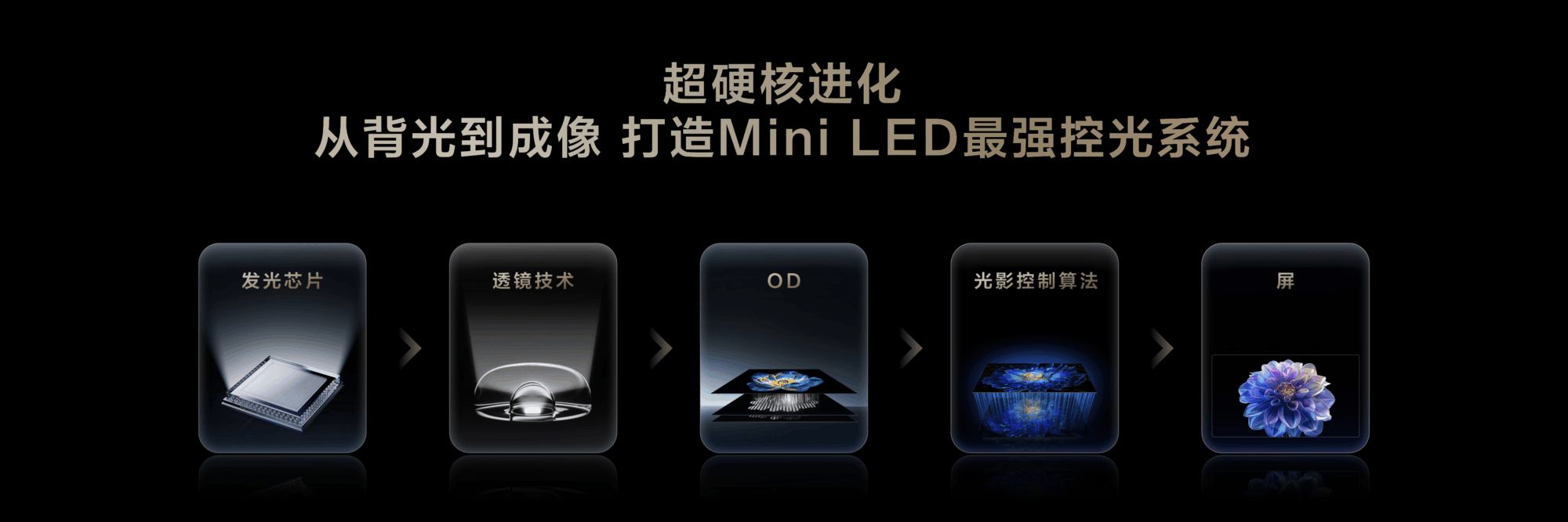 ¼TCL¼MiniLEDʾδ