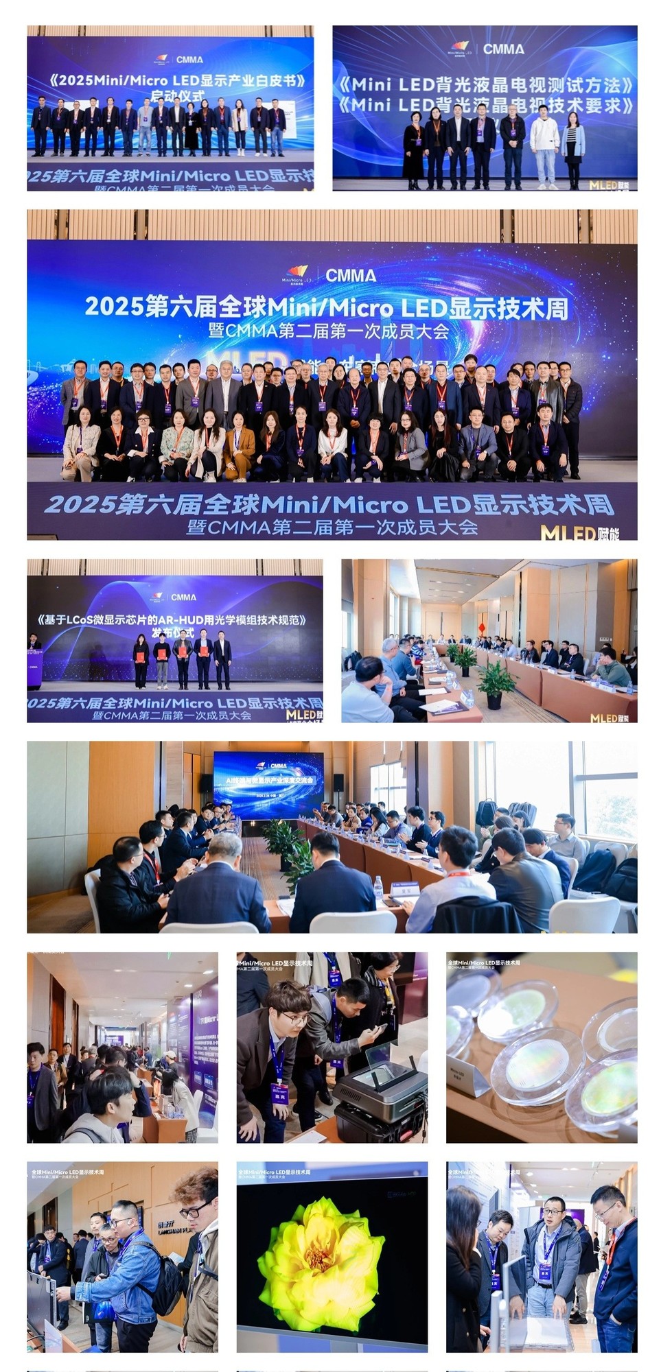 2025ȫMini/MicroLEDʾԲĻ