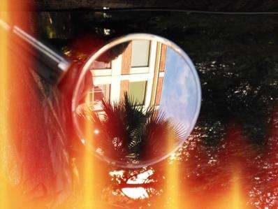 ʿƬڴX halfȫ·
