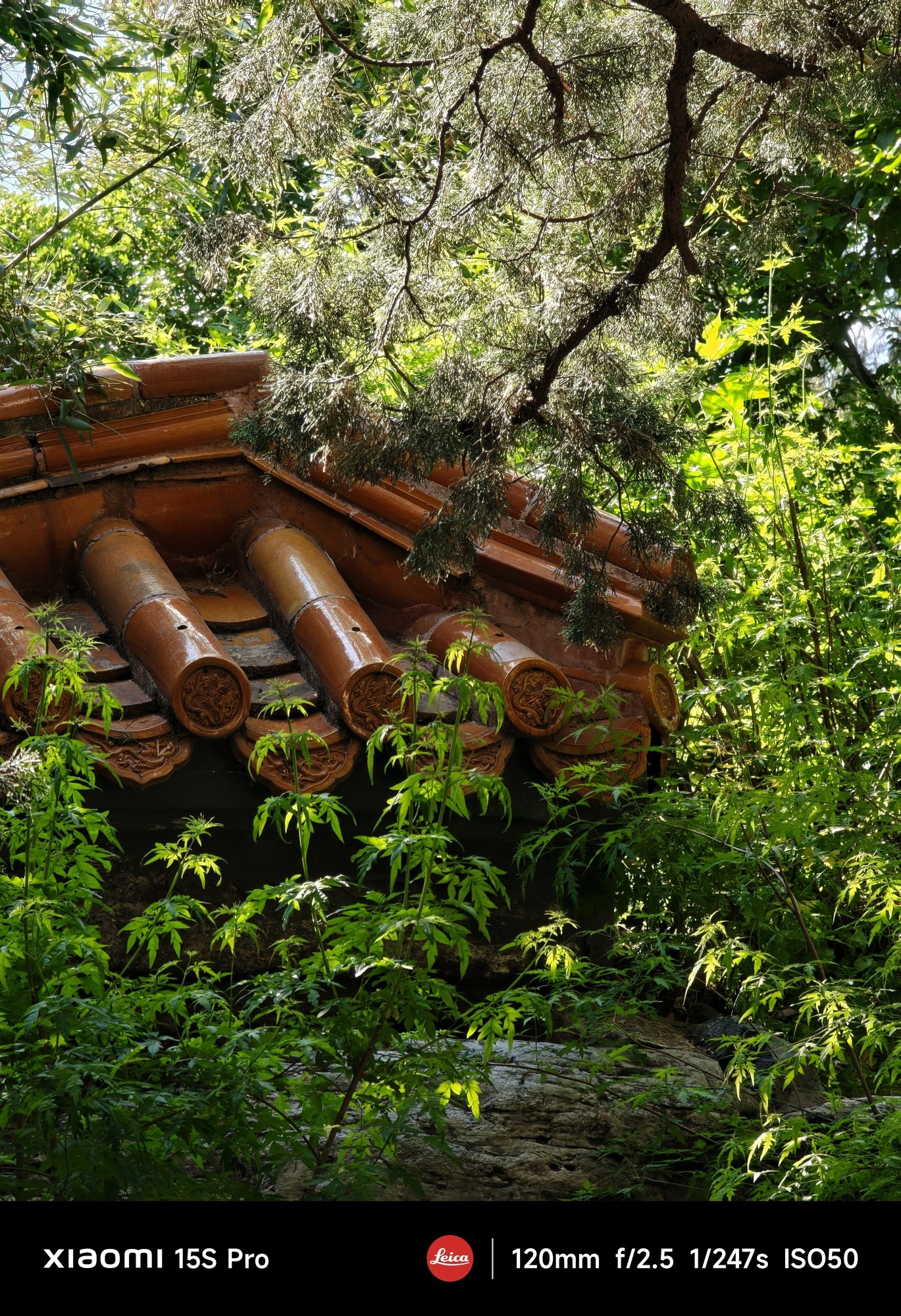 С15S Pro׷⣺ʮо͸׷۵һ