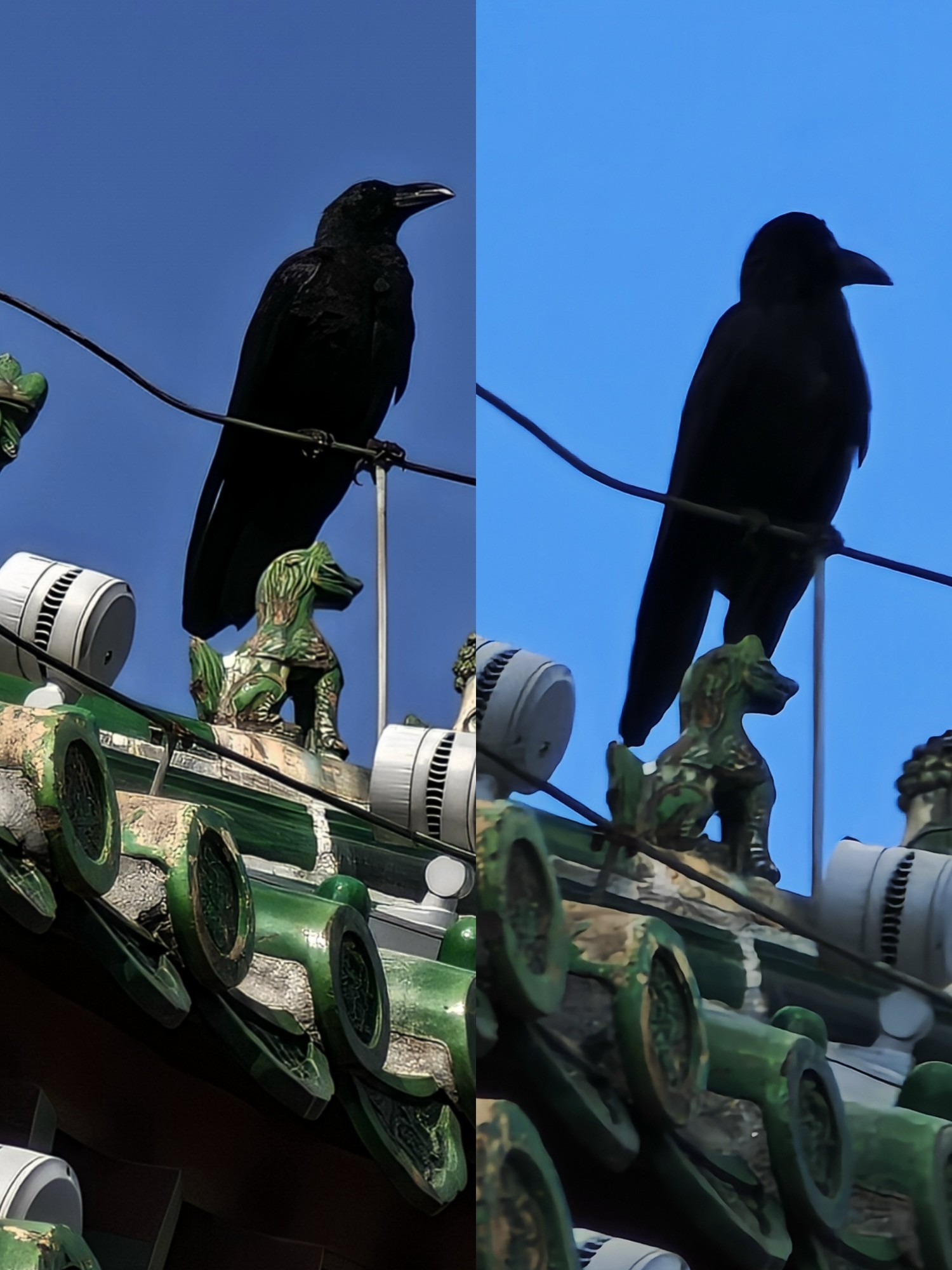 С15S Pro׷⣺ʮо͸׷۵һ