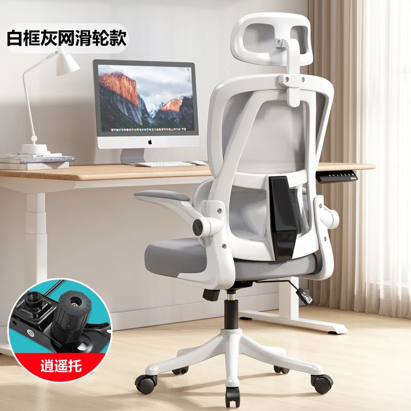 �˼����幤ѧ����������+ɹ������248Ԫ