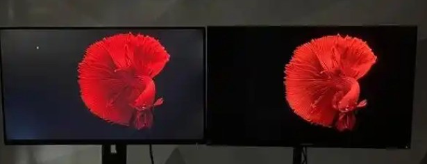 ˭һ磿OLEDMiniLED˭ǶԵģ