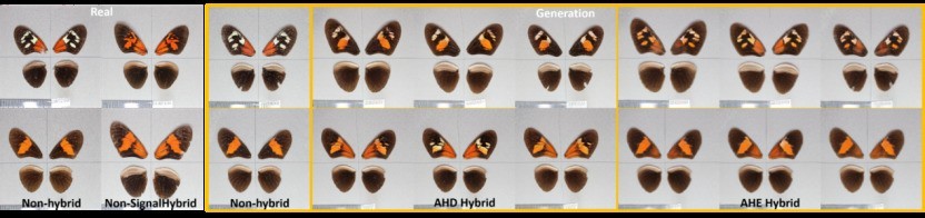 �����й��о�ԺCVPR2025 SyntaGen Workshop���Ľ��