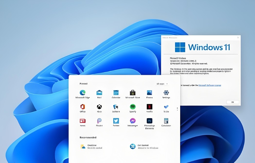 Windows 10 ˳ʱWindows 11 ۵ûǨ ʯ