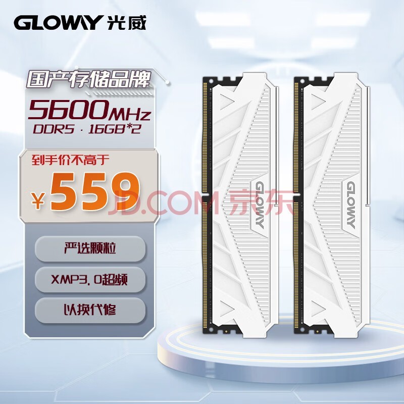 光威（Gloway）32GB(16GBx2)套装 DDR5 5600 台式机内存条 天策系列 助力AI