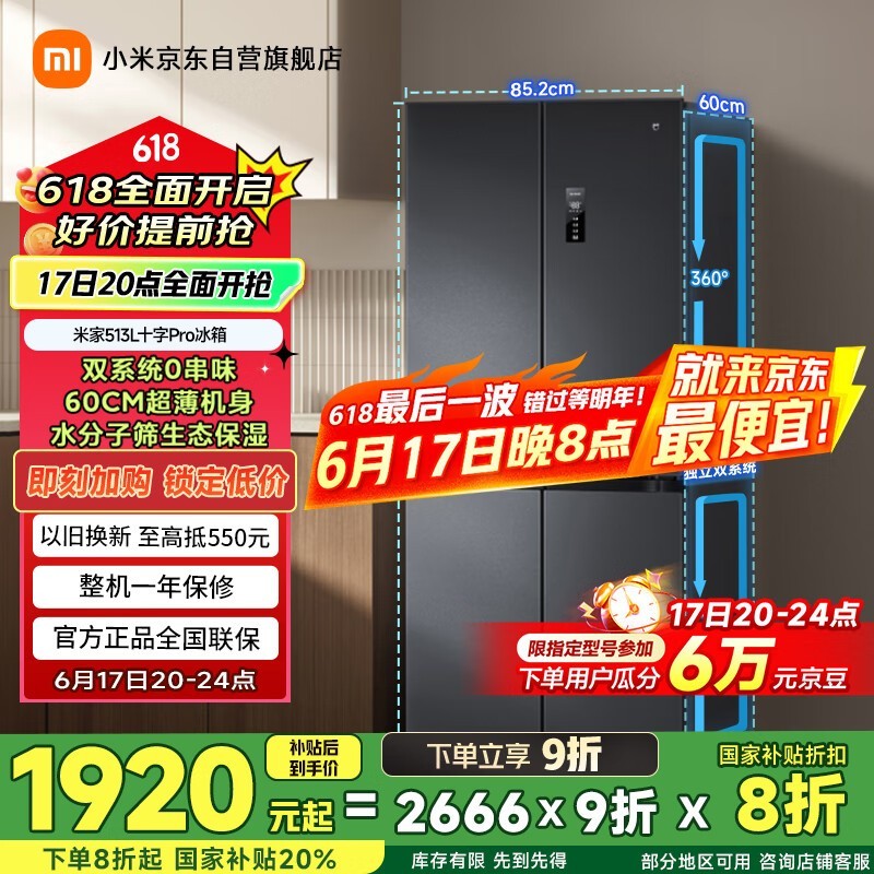 ׼MIJIAװPro513L 1919Ԫ