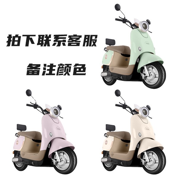 思帝诺WB1200DT - 2电动车仅需1599元