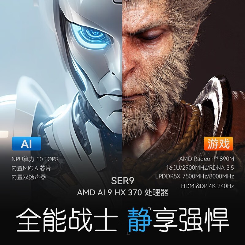 SER9 Pro 365Ż100Ԫ