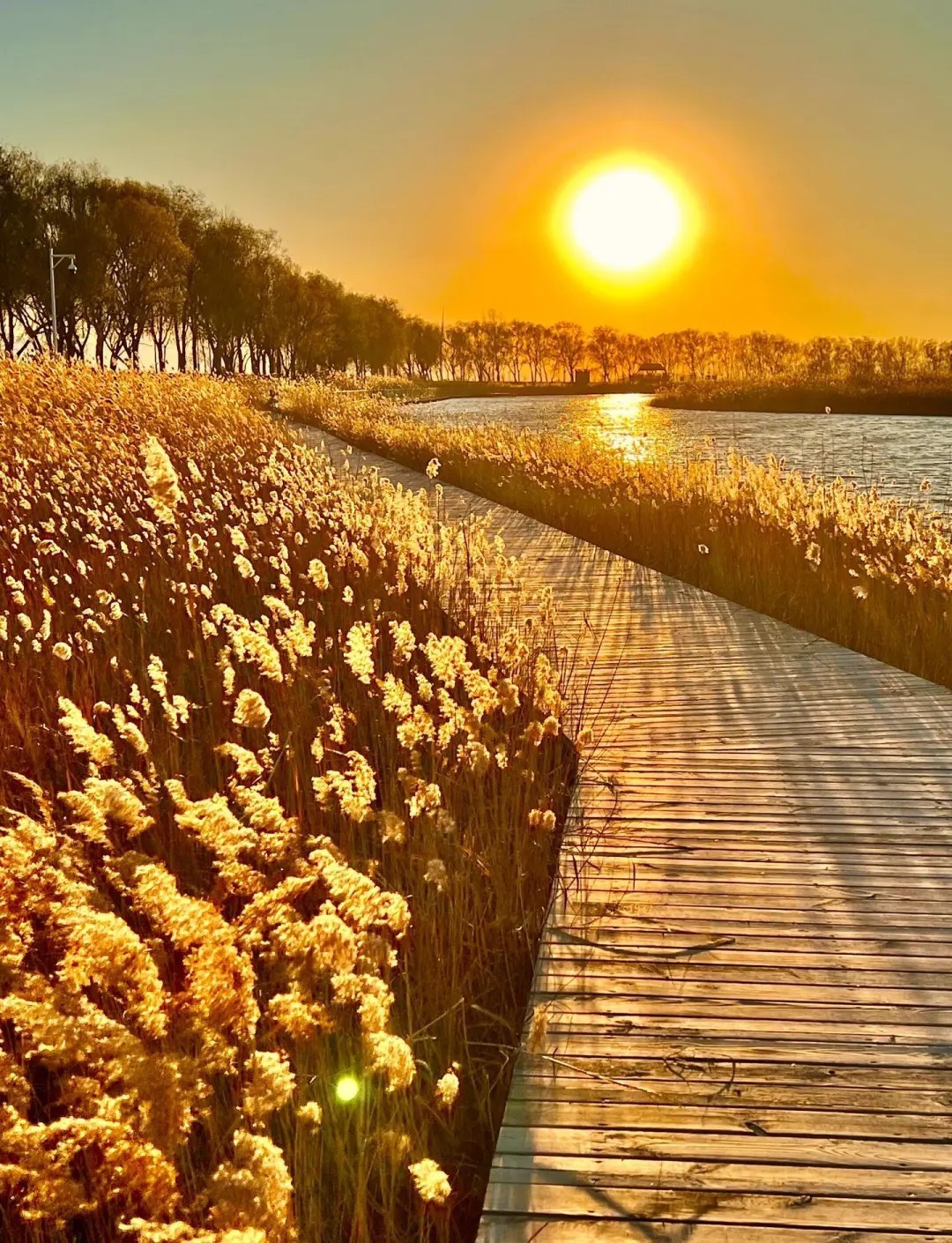 假期去哪人少好玩 这四个地方让你长假不无聊