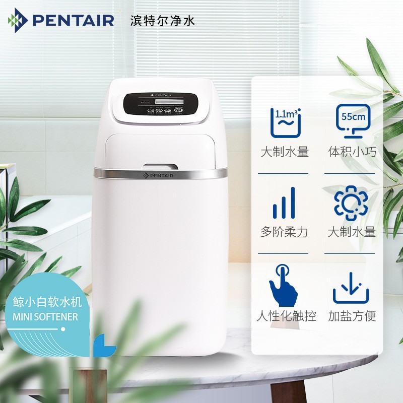 PENTAIR 滨特尔 全屋净水器家用别墅高端设备大流量中央净水软水机