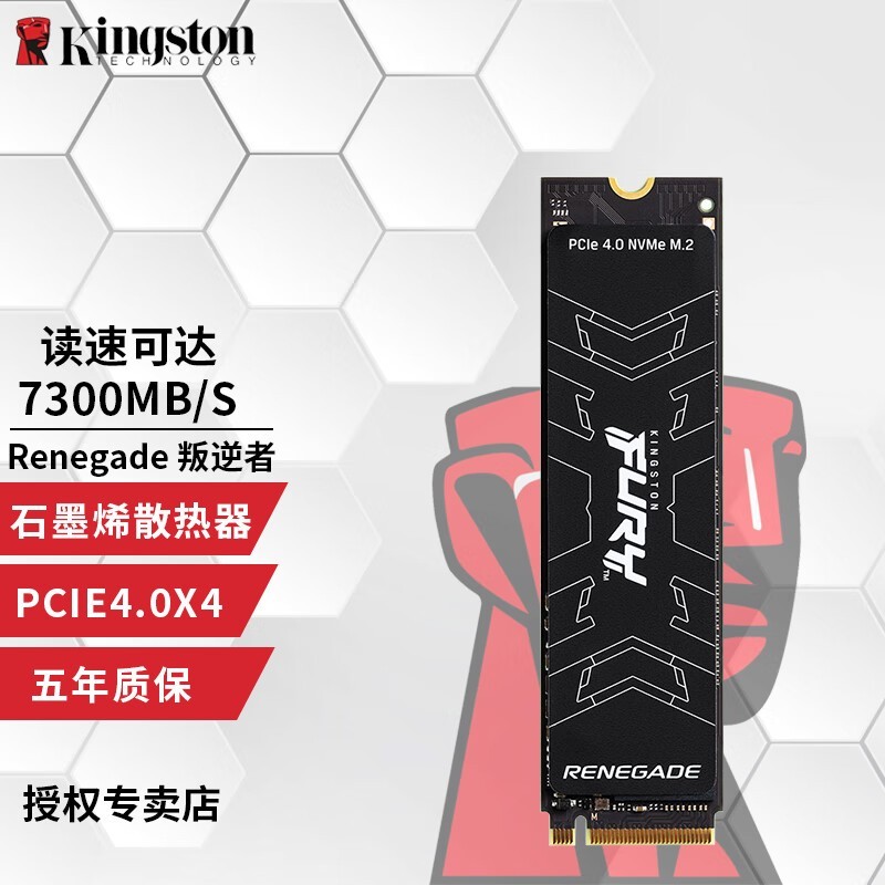 ʿ FURY M.21TB