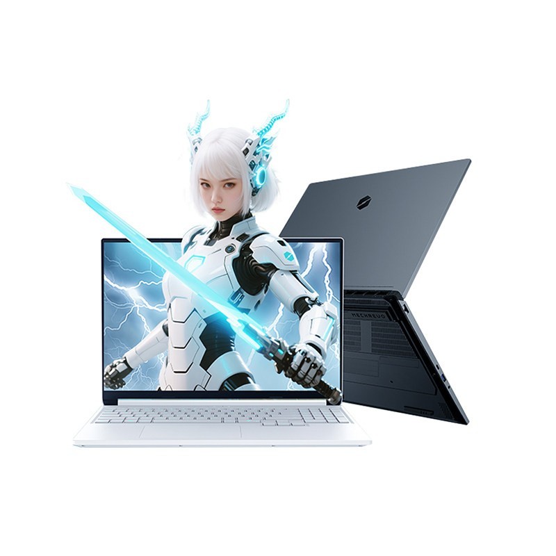 机械革命 蛟龙16Pro 潮玩版锐龙9 8940HX 16英寸RTX5060笔记本电脑游戏本