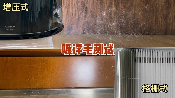 2026猫毛过敏怎么办?宠物空净实测,看这3个指标不交智商税
