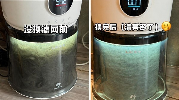 2026猫毛过敏怎么办?宠物空净实测,看这3个指标不交智商税