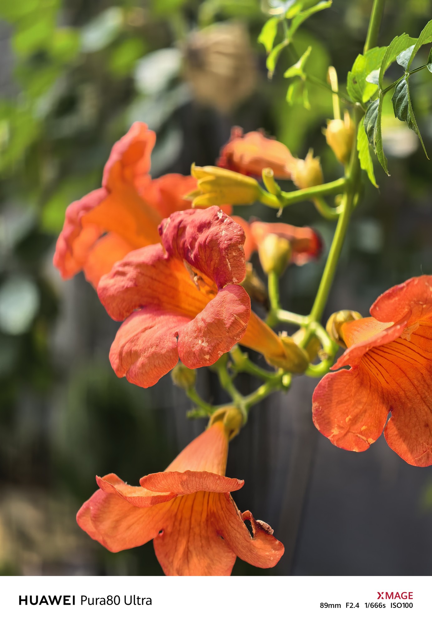 ��Ϊ Pura 80 Ultraȫ������ ͻ��Ӳ���߽磬���㿴��Զ