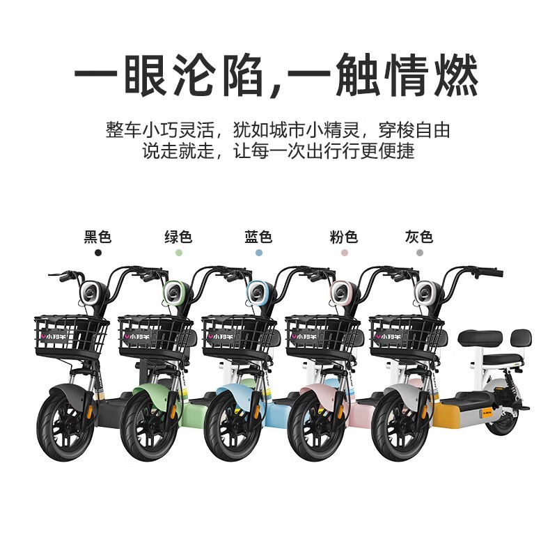 С����Сħ��48V12AH�綯����ʱ�ػ�599Ԫ